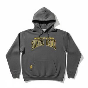 Vintage Y2K UC University California Santa Cruz Banana Slug Men's L Gray Hoodie